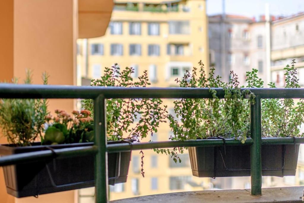 Riboty 10 Suites Róma Kültér fotó